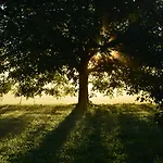 Beim Bicher * Grabenstätt